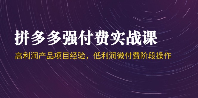 拼多多强付费实战课-44期，高利润产品项目经验，低利润微付费阶段操作-网赚联盟