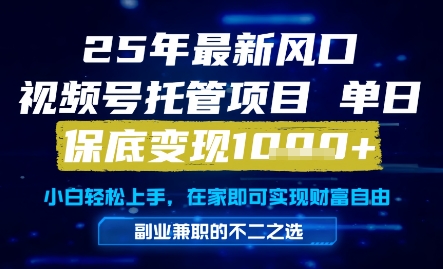 25年最新风口，视频号托管项目，单日保底变现1k+，手把手教学【揭秘】-网赚联盟