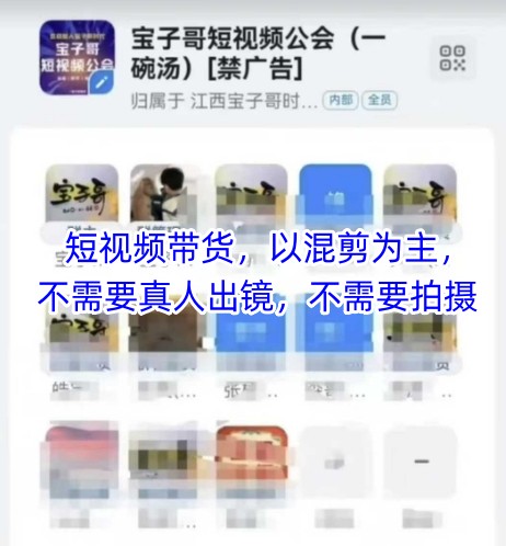 宝子哥头部团队短视频带货，以混剪为主，不需要真人出镜，不需要拍摄【更新】-网赚联盟