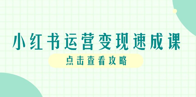 小红书运营变现速成课，账号搭建到暴力起号，个人IP全流程指南-网赚联盟