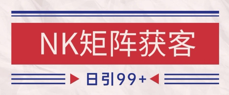 小红书某音NK赛道引流获客 自热矩阵日引200+【揭秘】-网赚联盟