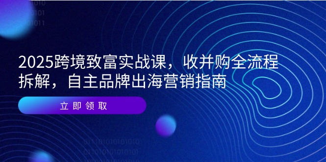 2025跨境致富实战课，收并购全流程拆解，自主品牌出海营销指南-网赚联盟