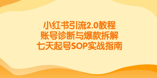 小红书引流2.0教程，账号诊断与爆款拆解，七天起号SOP实战指南-网赚联盟