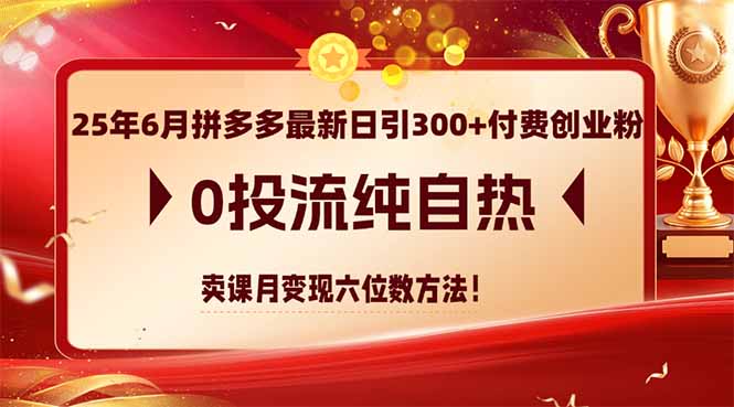 25年6月拼多多最新日引300+付费创业粉，0投流纯自热 卖课月变现六位数方法-网赚联盟