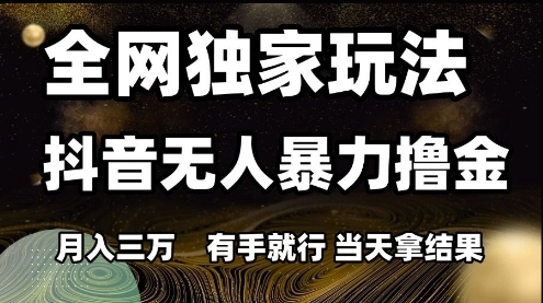 全网独家玩法抖音无人暴力撸金，月入3W，有手就行，当天拿结果【揭秘】-网赚联盟