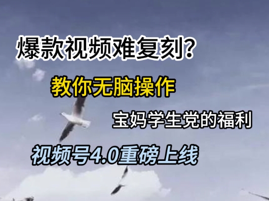 视频号4.0重磅上线，爆款视频难复刻？教你无脑操作宝妈学生党的福利【揭秘】-网赚联盟