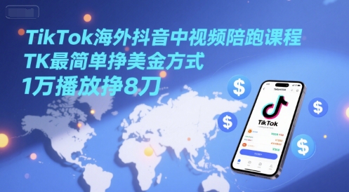 TikTok海外抖音中视频陪跑课程，TK最简单挣美金方式，1万播放挣8刀-网赚联盟