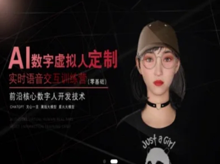 AI数字虚拟人定制，实时语音交互训练营(零基础)，前沿核心数字人开发技术-网赚联盟