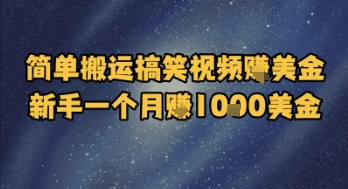 简单搬运搞笑视频挣美金，新手一个月入1k美金-网赚联盟