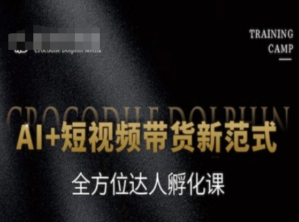 AI+短视频带货新范式，全方位达人孵化课-网赚联盟