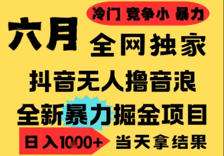 25年6月高爆抖音无人直播最新撸音浪掘金项目，小白可做，无脑日入1k+，门槛低可批量矩阵【揭秘】-网赚联盟