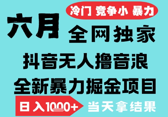 2025年6月高爆抖音无人直播最新撸音浪掘金项目，无脑日入1k+，低门槛小白可做，可矩阵放大【揭秘】-网赚联盟
