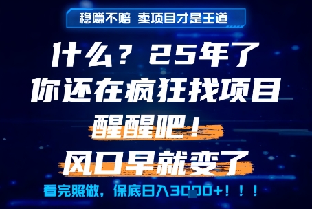 什么？25年你还在疯狂找项目做，醒醒吧，看完这些你全都懂了！【揭秘】-网赚联盟