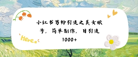 小红书男粉引流项目之美女账号6，简单制作，条条爆款原创，不违规-网赚联盟