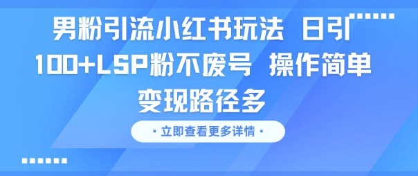 男粉引流小红书玩法，日引100+LSP粉不废号，操作简单，变现路径多-网赚联盟