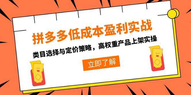 （15143期）拼多多低成本盈利实战，类目选择与定价策略，高权重产品上架实操-网赚联盟