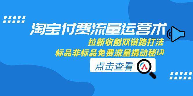 （15135期）淘宝付费流量运营术，拉新收割双链路打法，标品非标品免费流量撬动秘诀-网赚联盟
