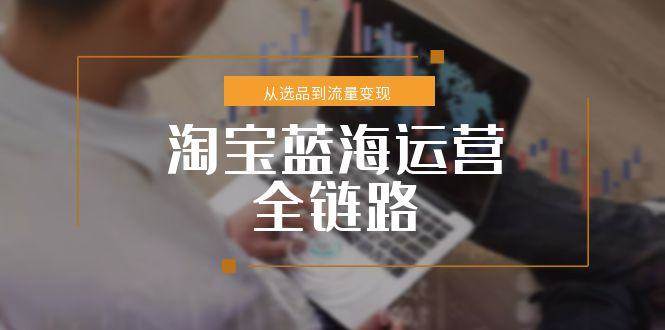 （15160期）淘宝蓝海运营全链路，从选品到流量变现，小类目突围完整方案-网赚联盟