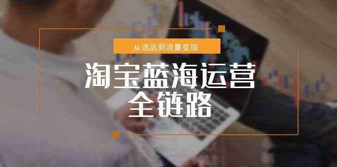 淘宝蓝海运营全链路，从选品到流量变现，小类目突围完整方案-网赚联盟
