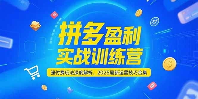（15183期）拼多多盈利实战训练营，强付费玩法深度解析，2025最新运营技巧合集-网赚联盟