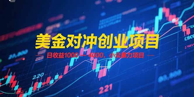 （15187期）美金对冲创业项目，日收益 1000 – 4000，小众暴力项目-网赚联盟