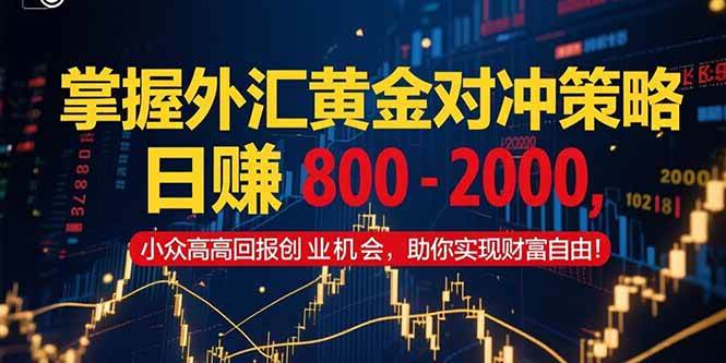 （15198期）掌握外汇黄金对冲策略，日赚 800 – 2000，小众高回报创业机会，助你实…-网赚联盟