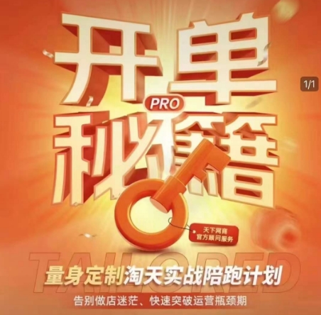 淘宝开单秘籍PRO，量身定制淘天实战陪跑计划，告别做店迷茫、快速突破运营瓶颈期（更新6月）-网赚联盟