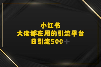 小红书，大佬都在用的大粉平台，日引流500+-网赚联盟