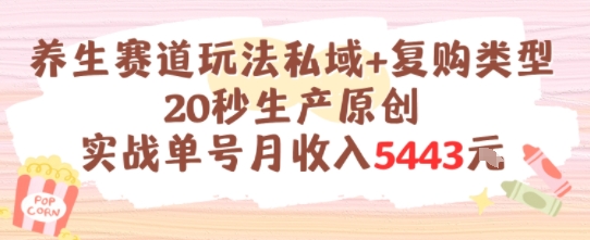 养生赛道玩法私域+复购类型，20秒生产原创实战单号月收入5k+-网赚联盟
