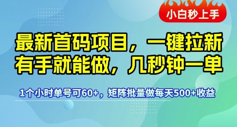 最新首码项目，一键拉新有手就能做，几秒钟一单，1个小时单号可60+，矩阵批量做每天5张【揭秘】-网赚联盟