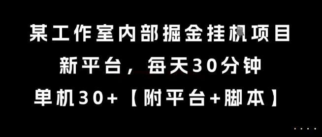 某工作室内部掘金挂G项目，新平台，每天30分钟，单机30+【揭秘】-网赚联盟