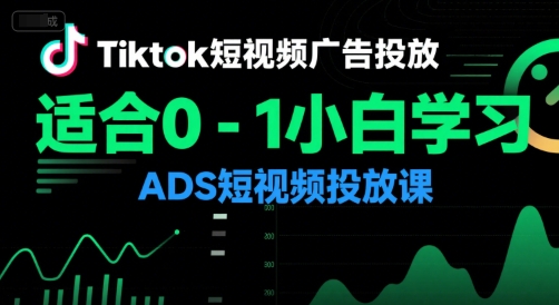 Tiktok短视频广告投放，适合0-1小白学习ADS短视频投放课-网赚联盟