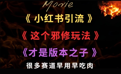 最近小红书引流这个邪修玩法才是版本之子，很多赛道早用早吃肉-网赚联盟