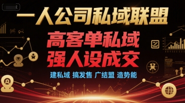 一人公司私域联盟，高客单私域，强人设成交，建私域 搞发售 广结盟 造势能-网赚联盟