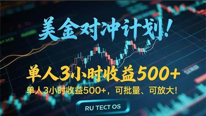 （15321期）长久稳定的撸美金项目，平均3小时收入 500+，可公司实地考察实地操作！-网赚联盟