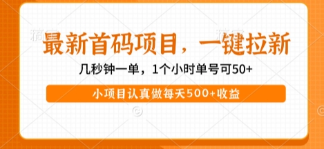 最新首码项目，操作最简单，收益高，一键拉新，1个小时单号可50+，小项目认真做每天5张+收益【揭秘】-网赚联盟
