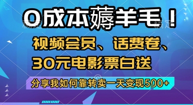 0成本薅羊毛!视频会员、话费卷、30元电影票白送，分享我如何靠转卖一天变现5张+【揭秘】-网赚联盟