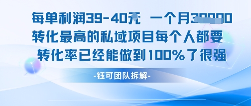每单利润40一个月7k+转化最高的私域项目，每个人都要的产品转化率已经能做到100%-网赚联盟