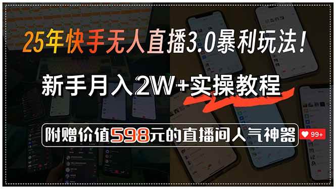（15335期）25年快手无人直播3.0暴利玩法！，新手月入2W+实操教程，附赠价值598元…-网赚联盟