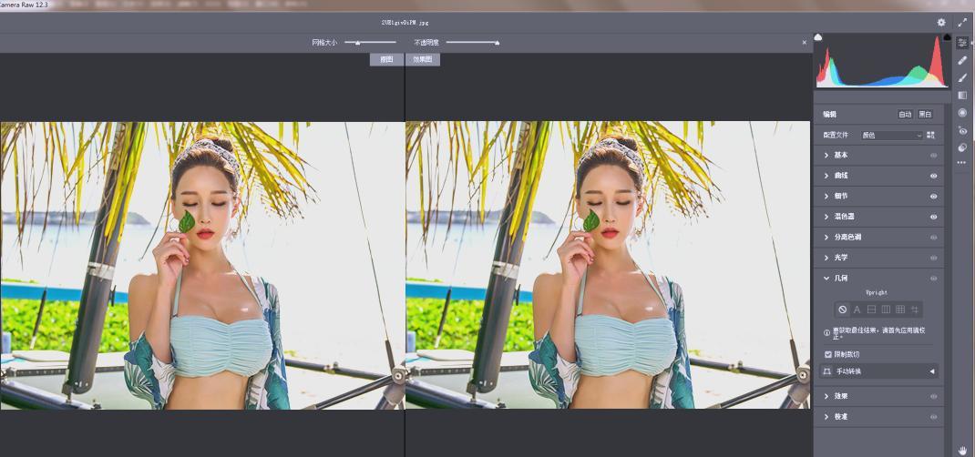 RAW处理Adobe Camera Raw v18.3.0中文版-网赚联盟